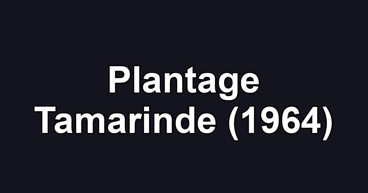 Plantage Tamarinde (1964)