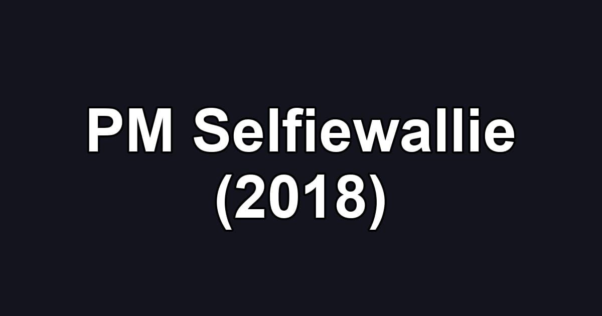 PM Selfiewallie (2018)