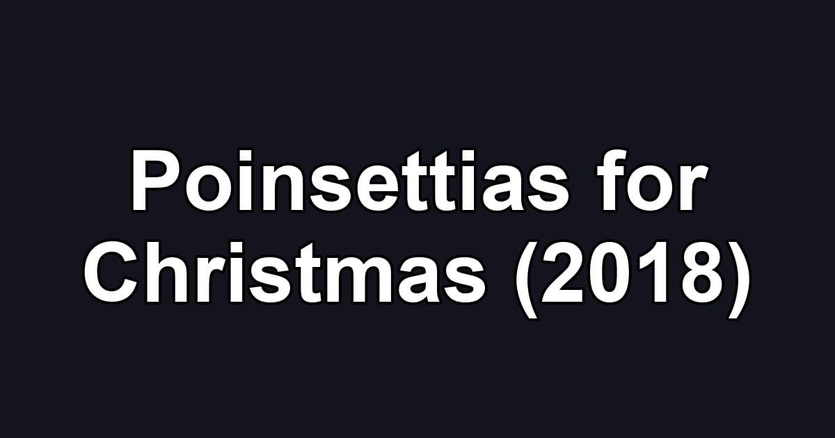 Poinsettias for Christmas (2018)