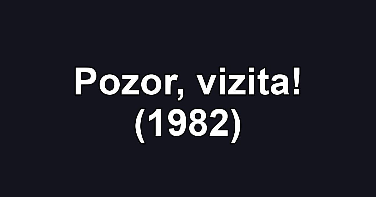 Pozor, vizita! (1982)