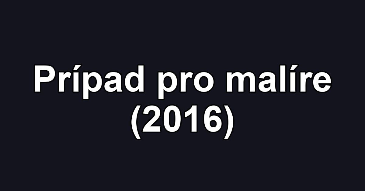 Prípad pro malíre (2016)