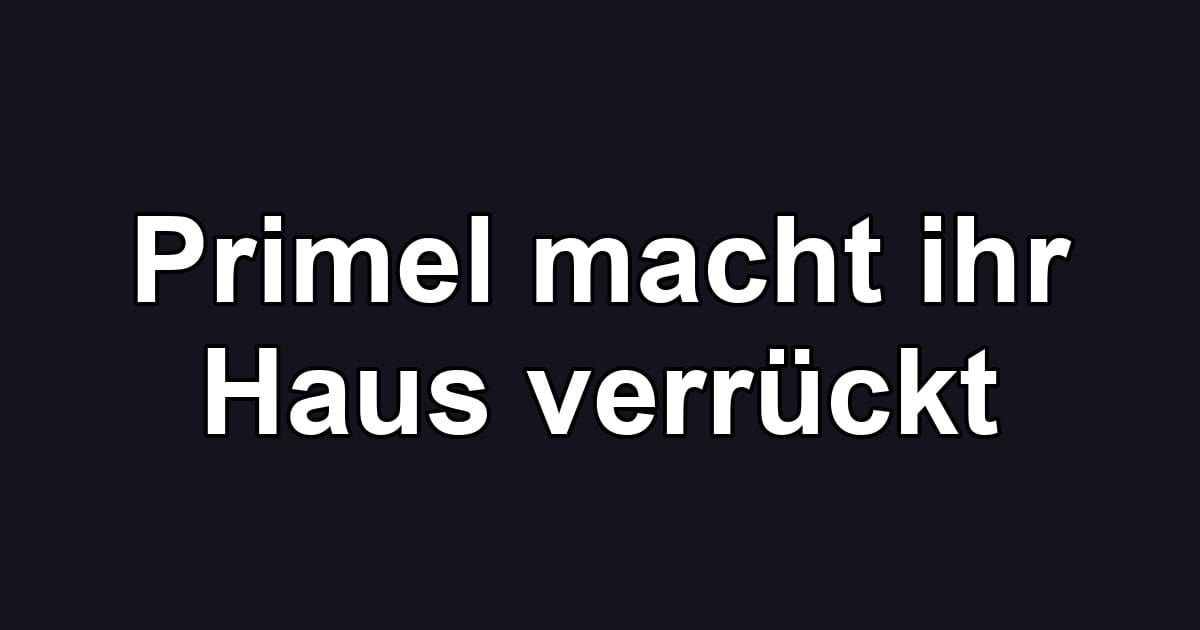 Primel macht ihr Haus verrückt