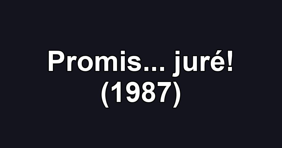 Promis... juré! (1987)