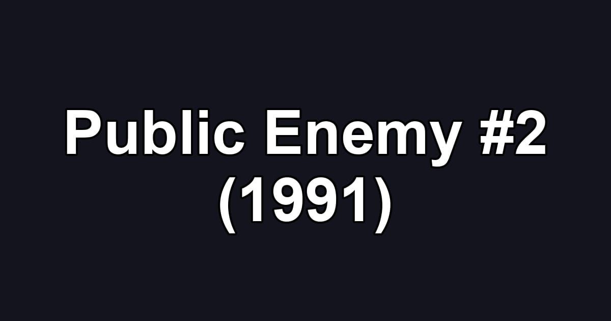 Public Enemy #2 (1991)