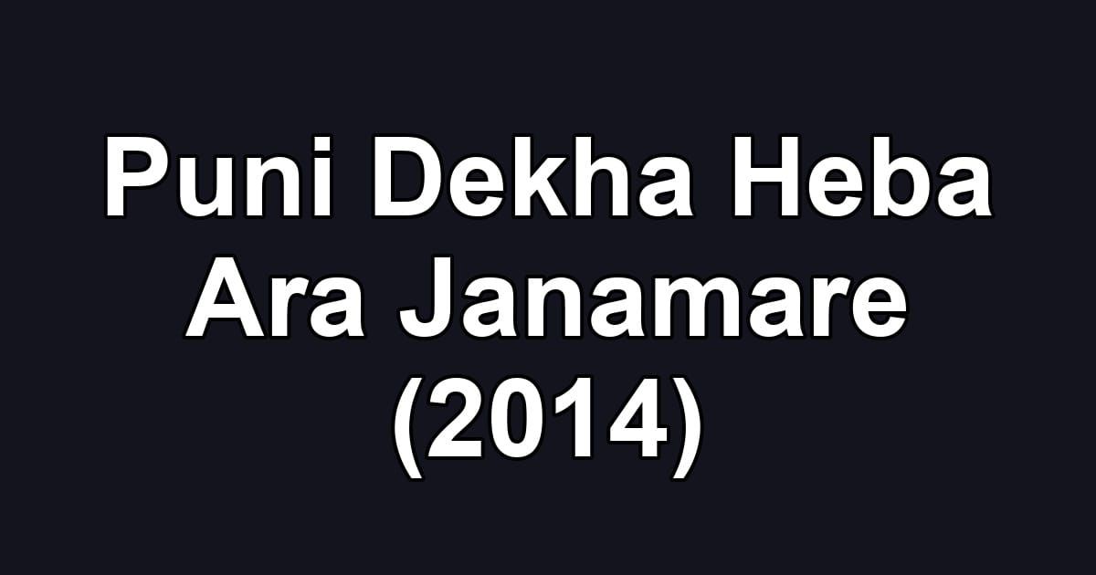 Puni Dekha Heba Ara Janamare (2014)
