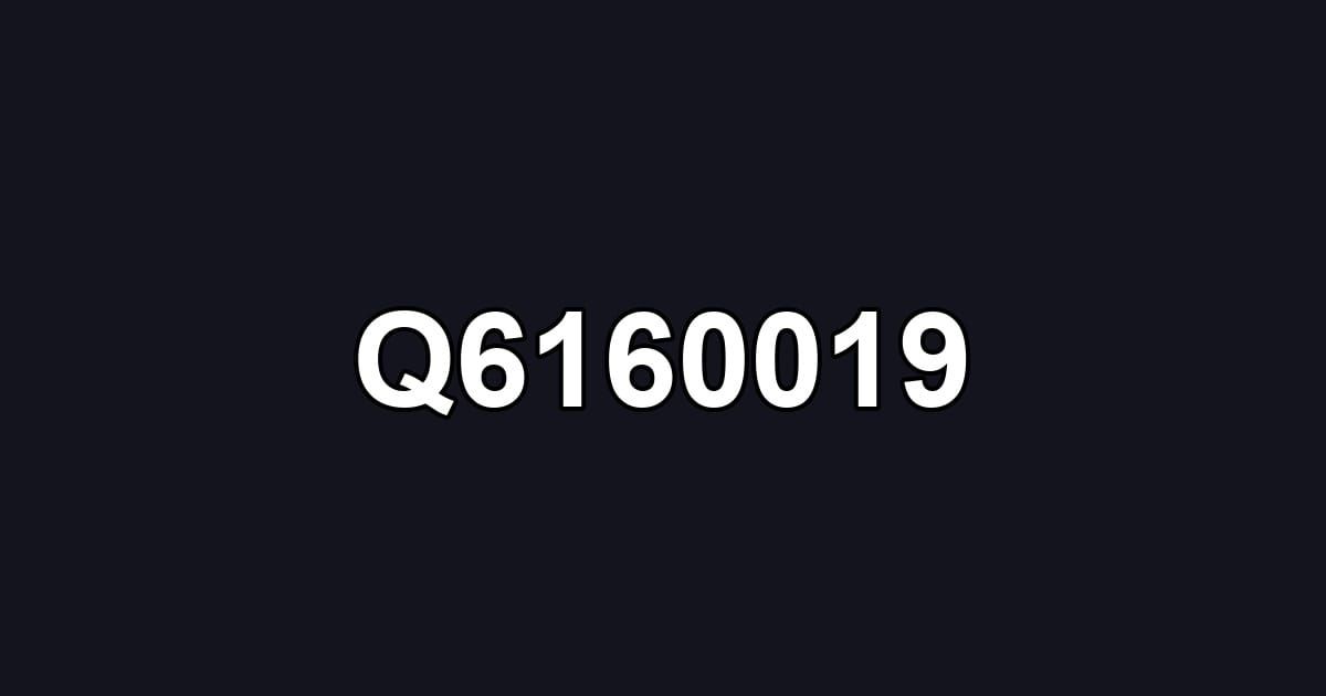 Q6160019