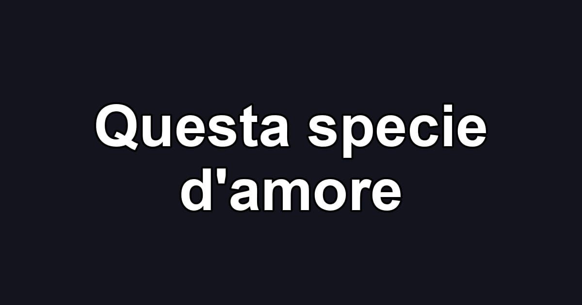 Questa specie d'amore