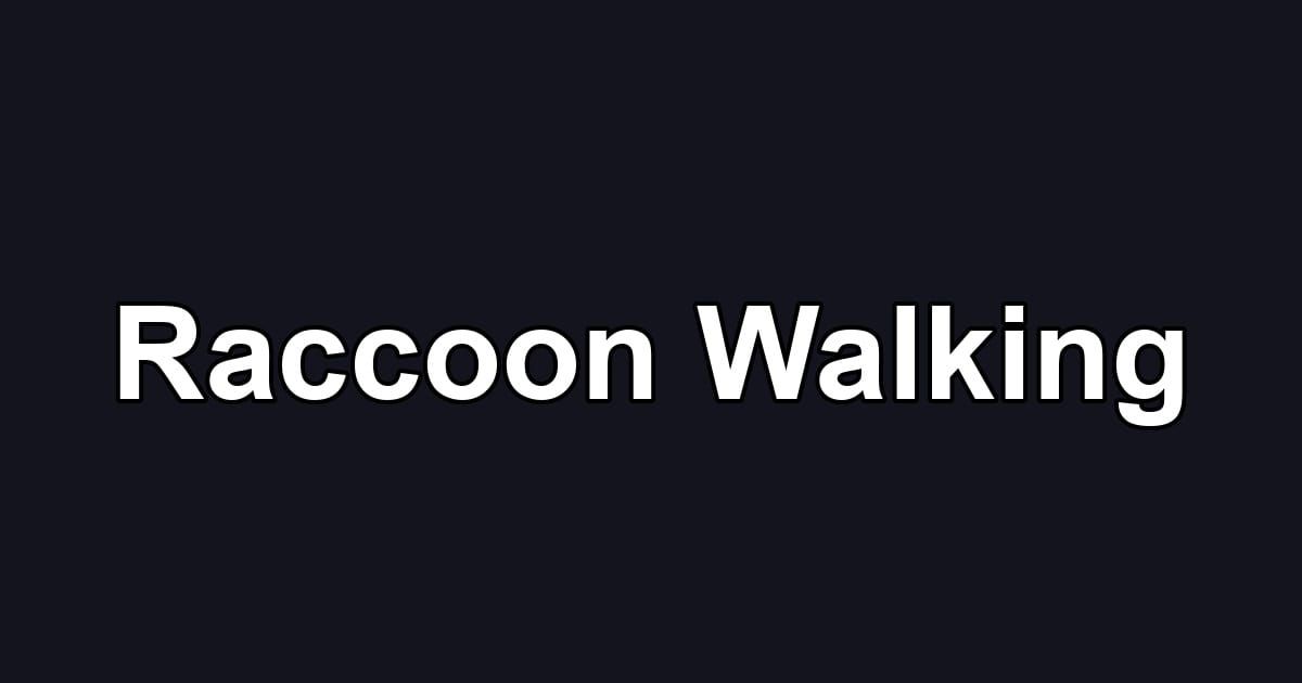 Raccoon Walking