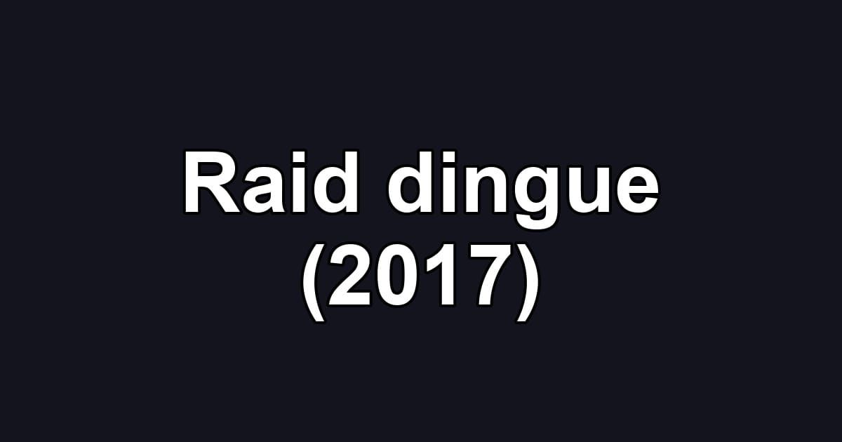 Raid dingue (2017)
