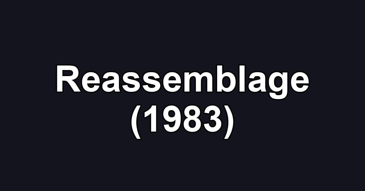 Reassemblage (1983)