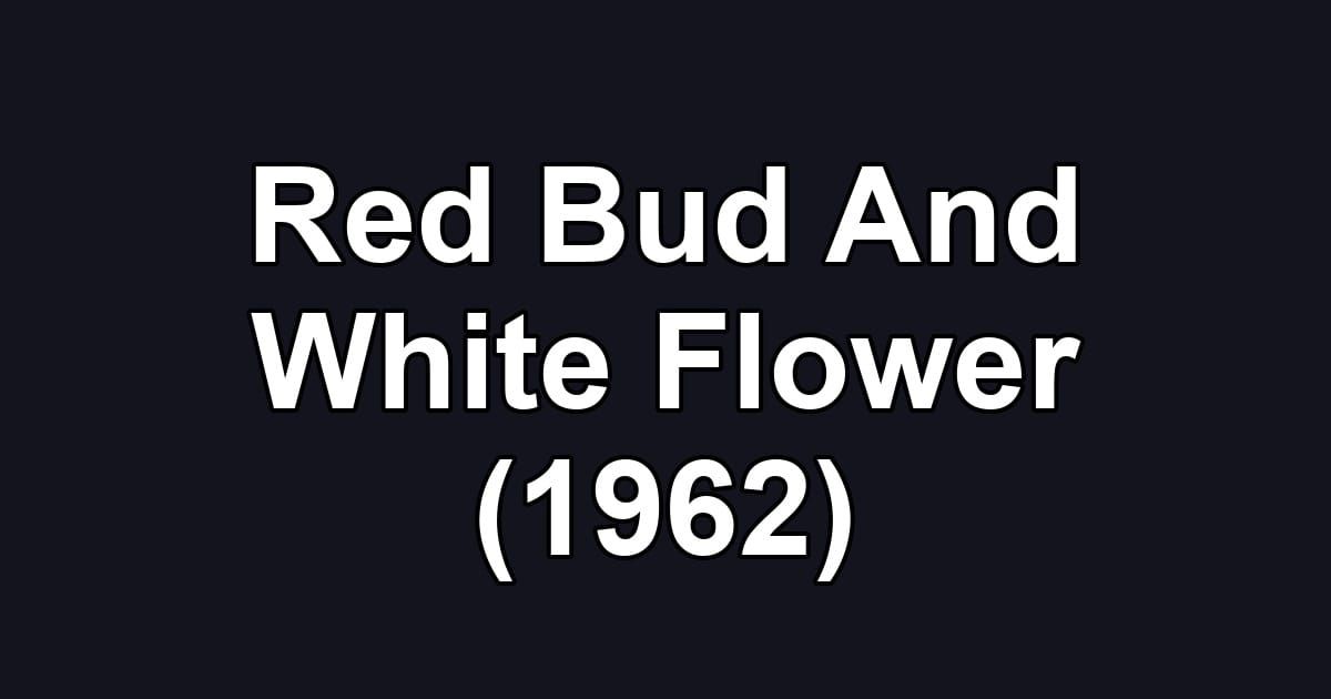 Red Bud And White Flower (1962)