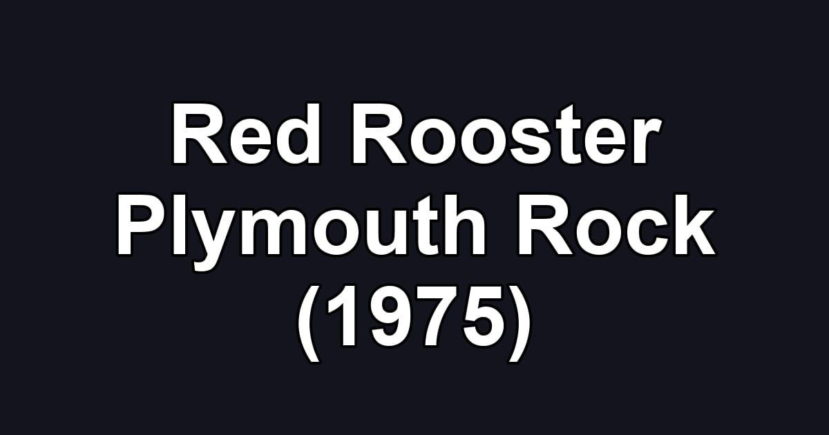 Red Rooster Plymouth Rock (1975)