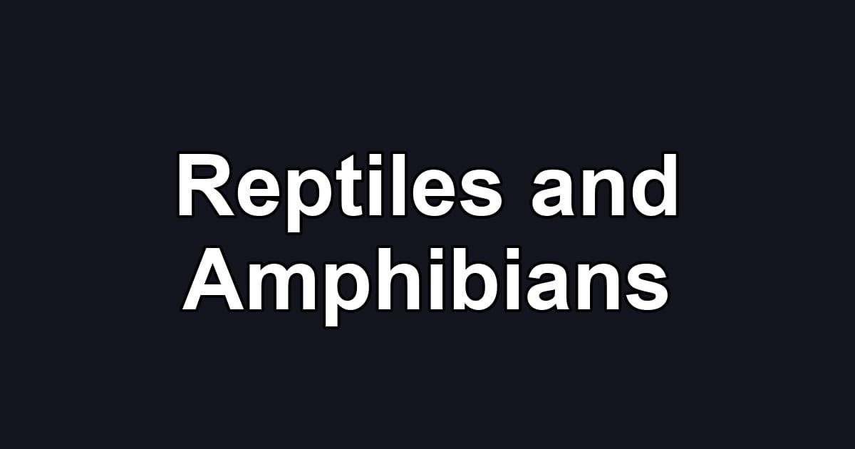 Reptiles and Amphibians