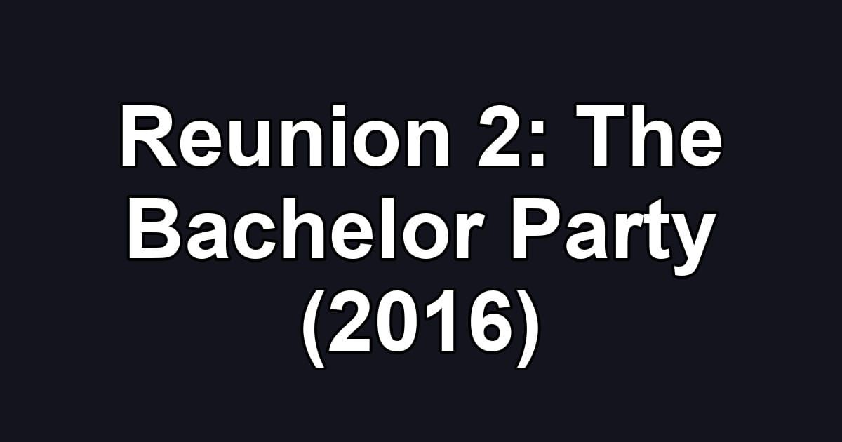 Reunion 2: The Bachelor Party (2016)