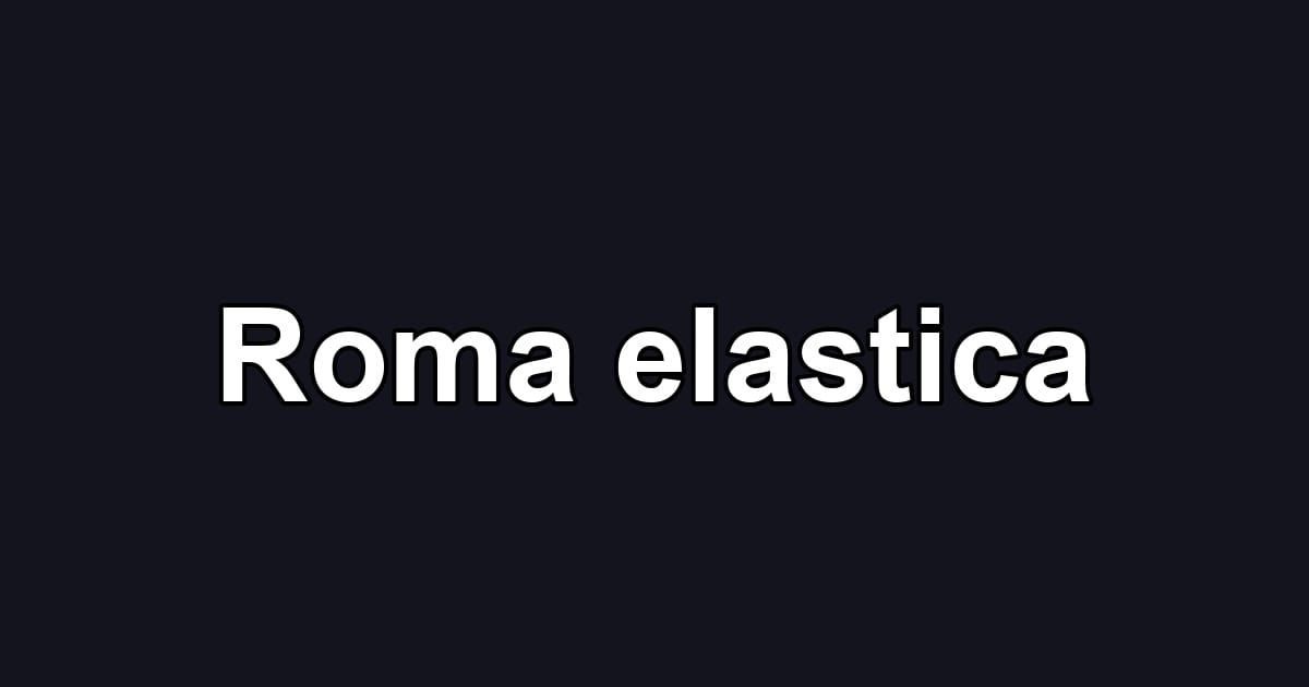 Roma elastica