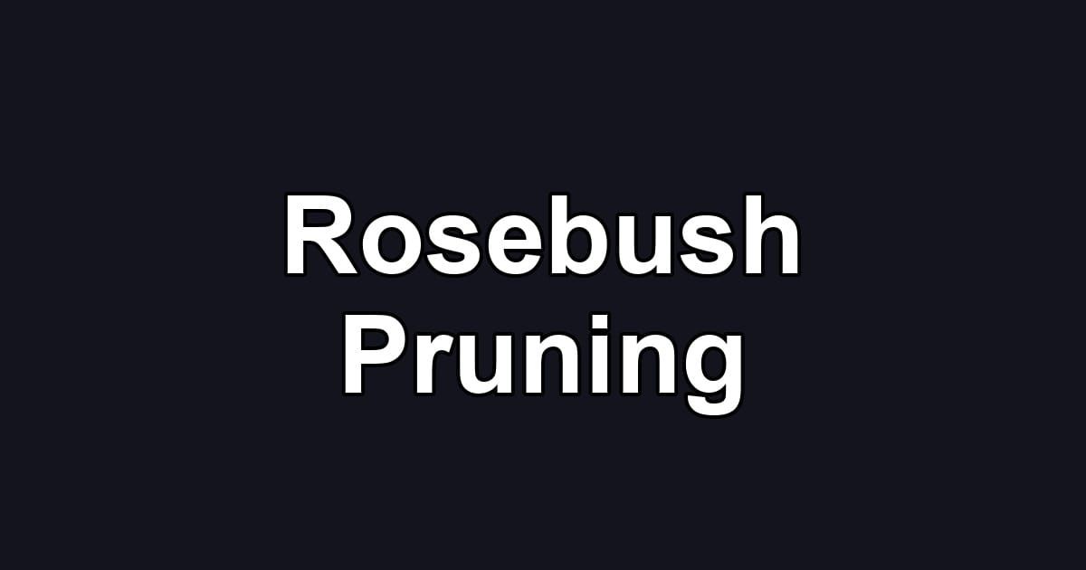 Rosebush Pruning