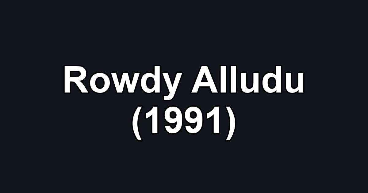 Rowdy Alludu (1991)