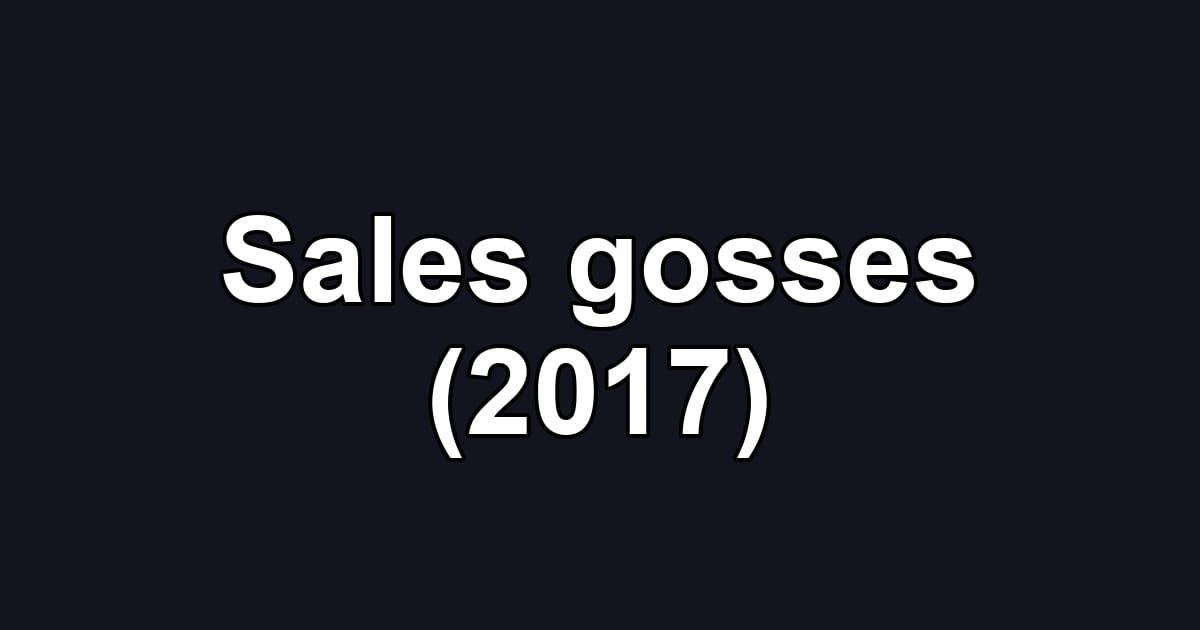 Sales gosses (2017)