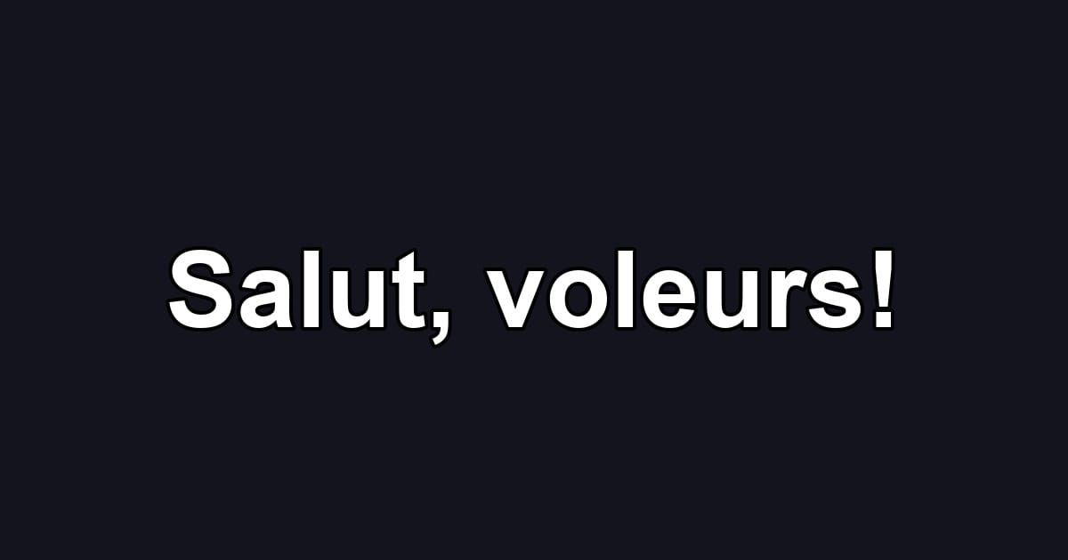 Salut, voleurs!