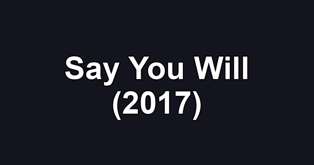Say You Will (2017)