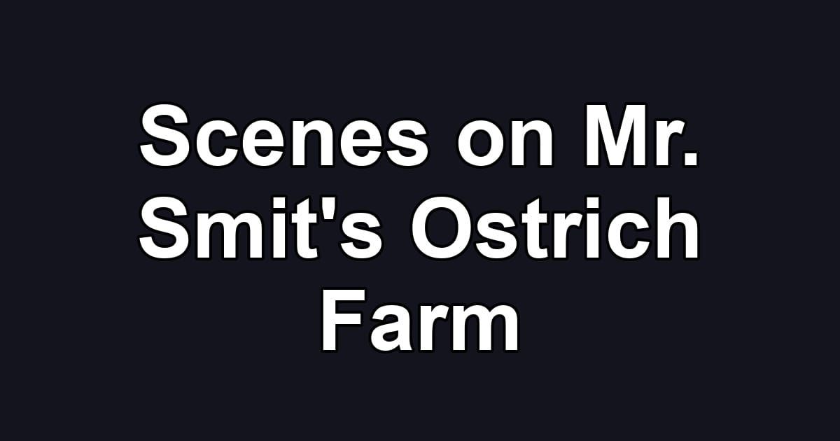 Scenes on Mr. Smit's Ostrich Farm