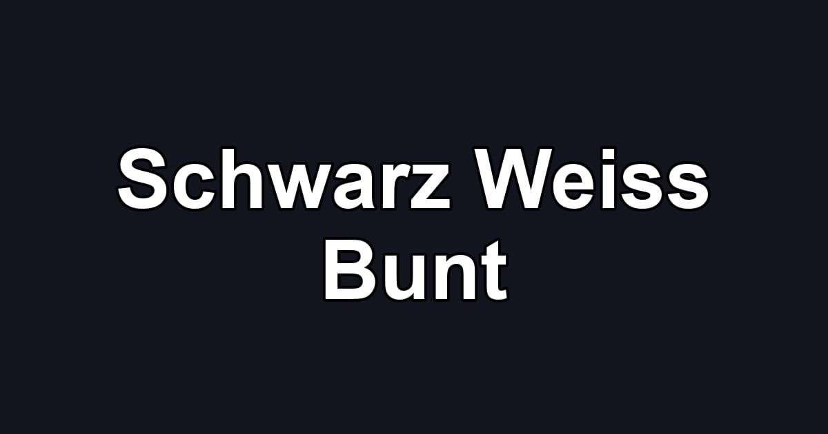 Schwarz Weiss Bunt