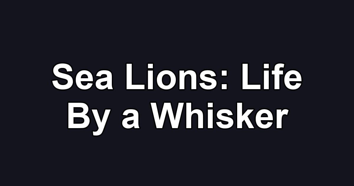Sea Lions: Life By a Whisker