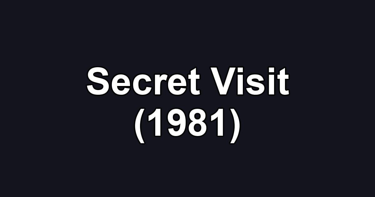 Secret Visit (1981)
