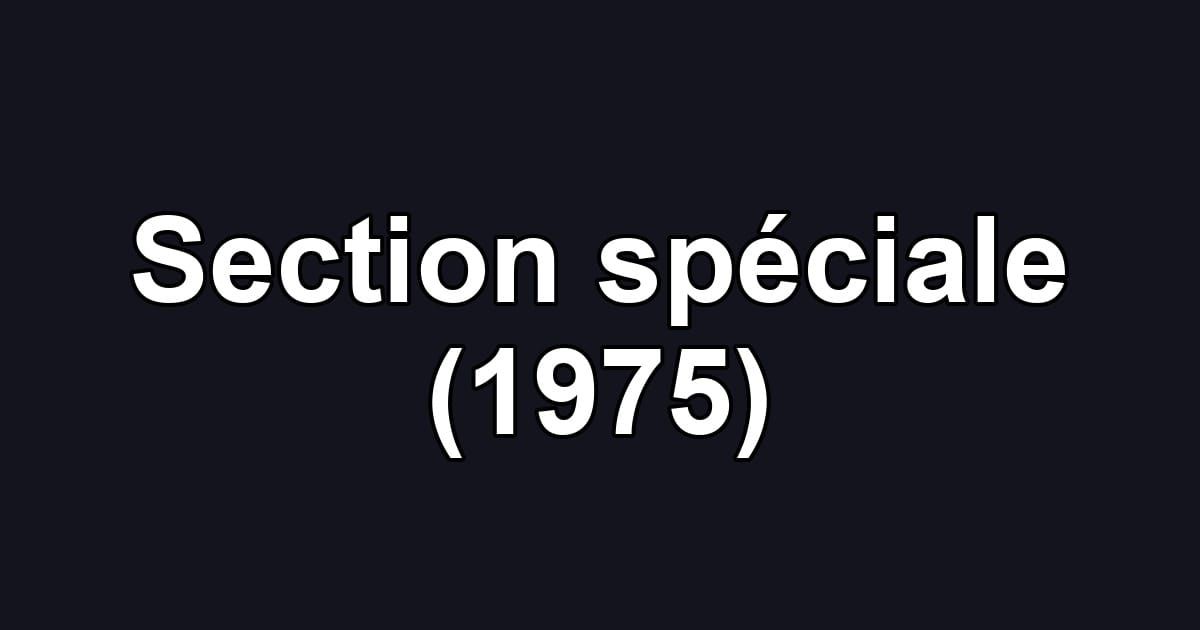 Section spéciale (1975)