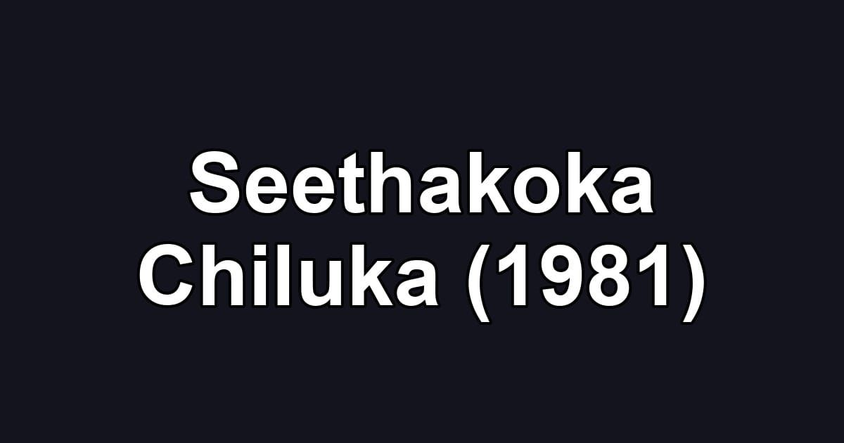 Seethakoka Chiluka (1981)