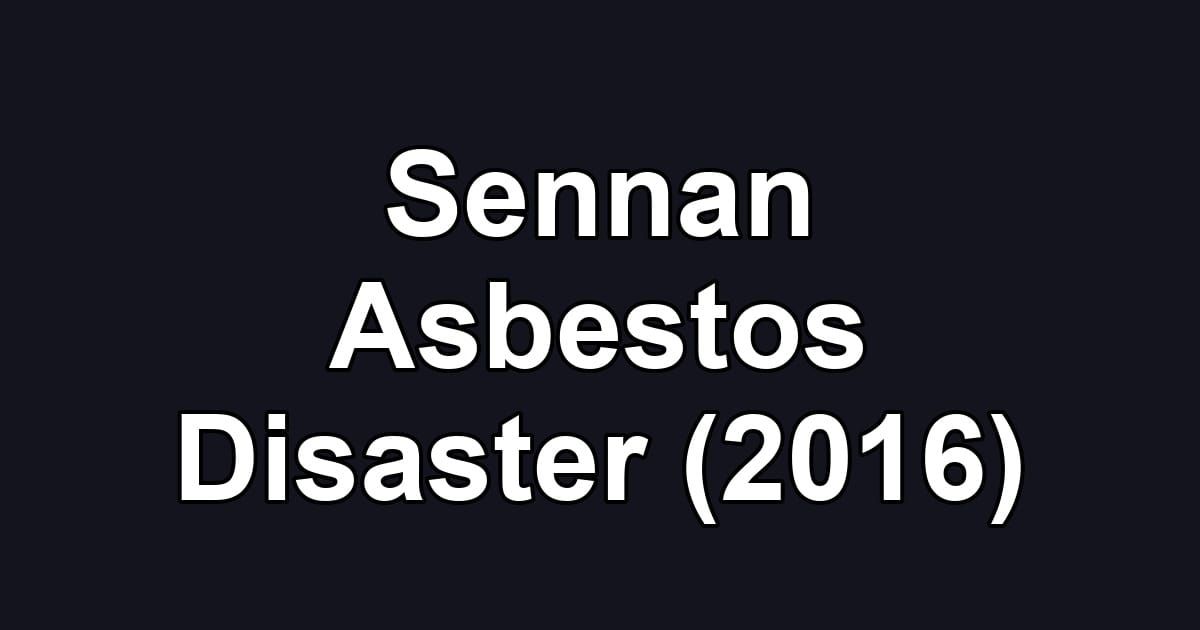 Sennan Asbestos Disaster (2016)