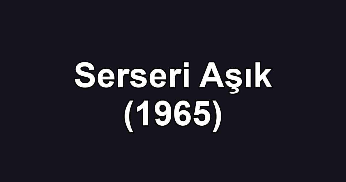 Serseri Aşık (1965)