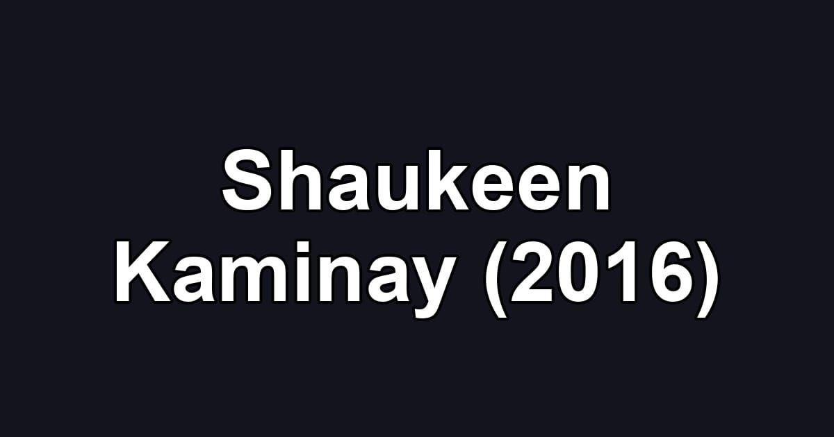 Shaukeen Kaminay (2016)