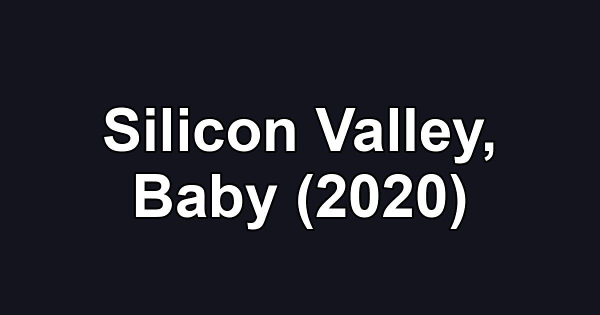 Silicon Valley, Baby (2020)