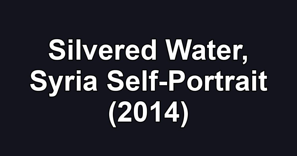 Silvered Water, Syria Self-Portrait (2014)