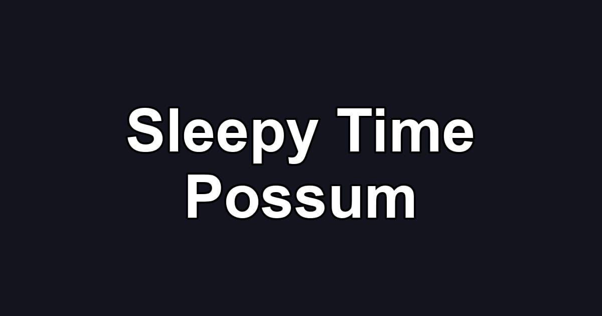 Sleepy Time Possum