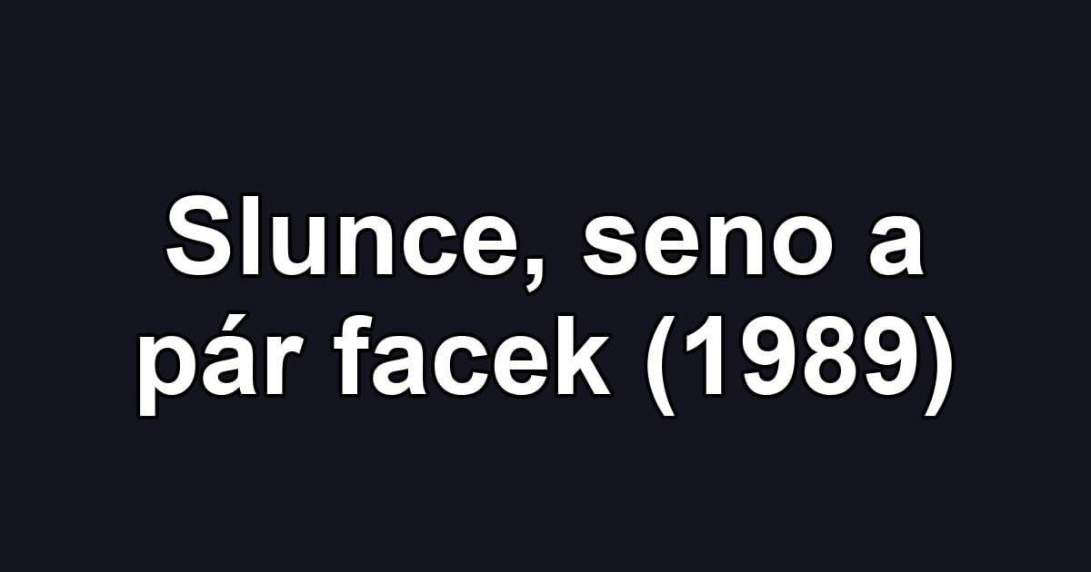 Slunce, seno a pár facek (1989)