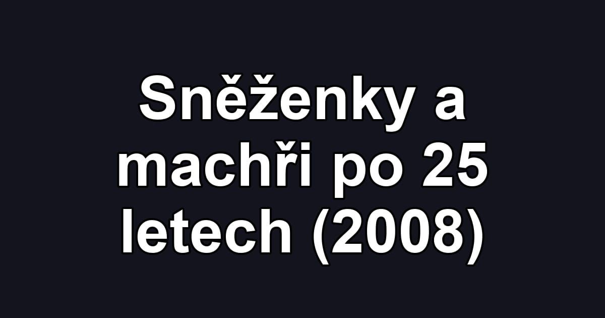 Sněženky a machři po 25 letech (2008)