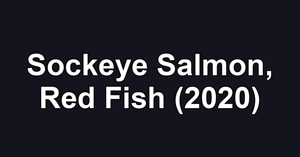 Sockeye Salmon, Red Fish (2020)