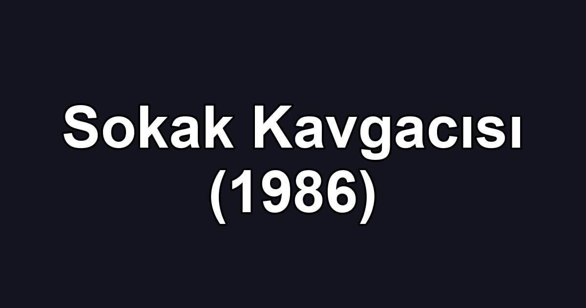 Sokak Kavgacısı (1986)