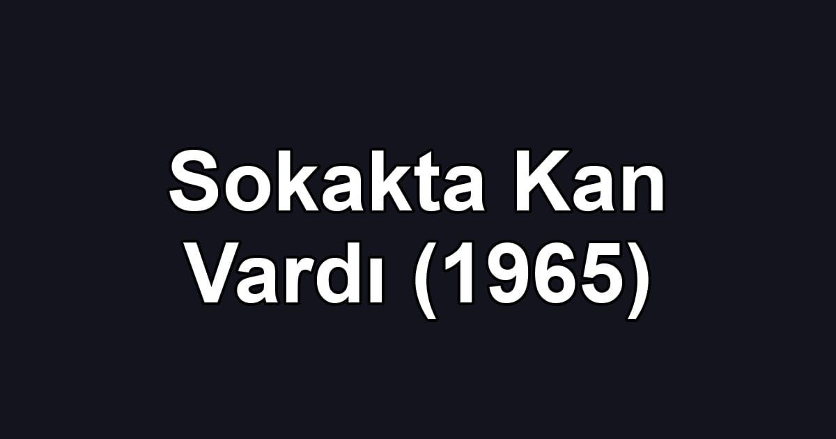 Sokakta Kan Vardı (1965)