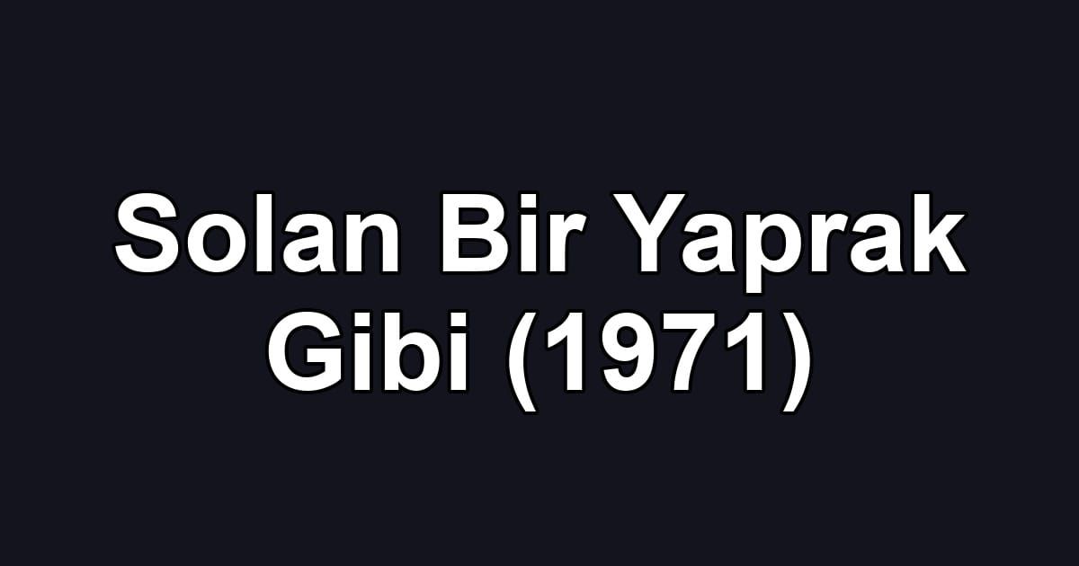 Solan Bir Yaprak Gibi (1971)