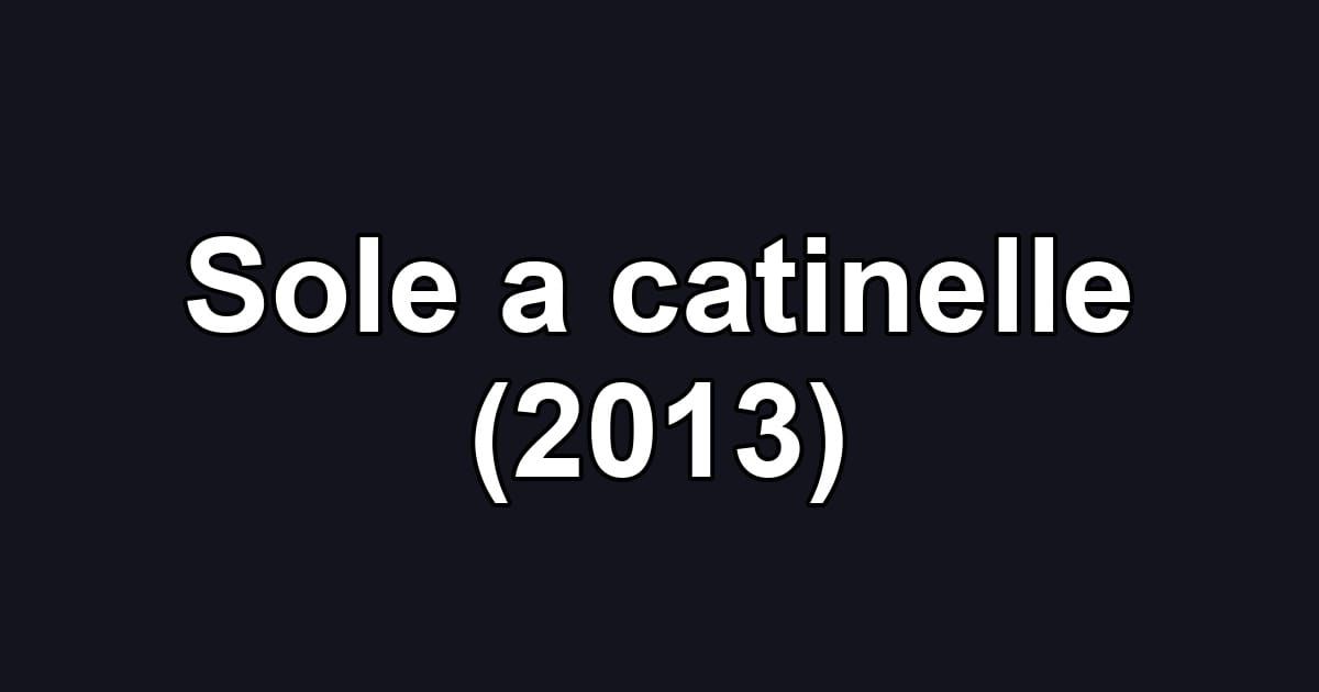 Sole a catinelle (2013)