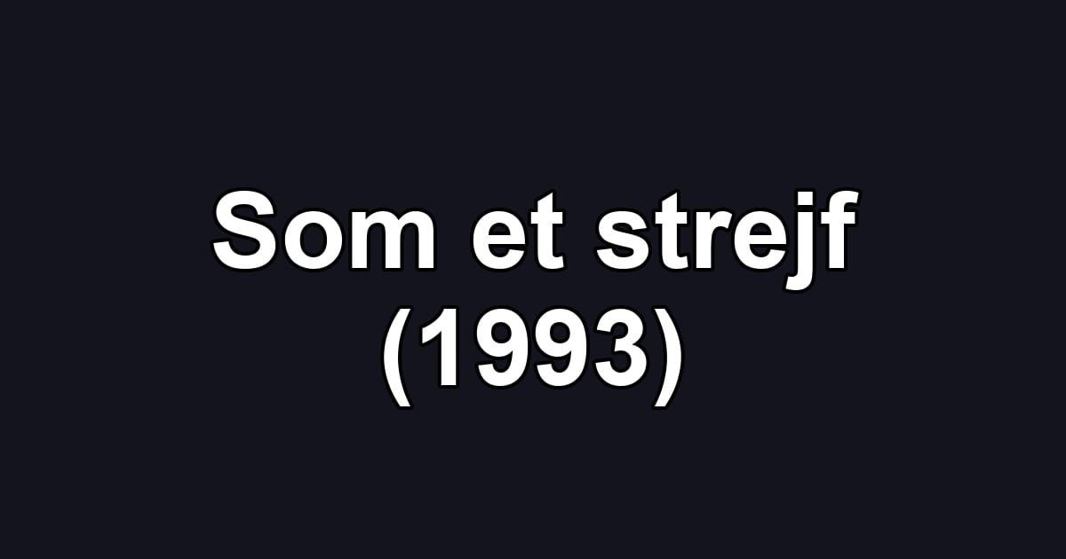 Som et strejf (1993)