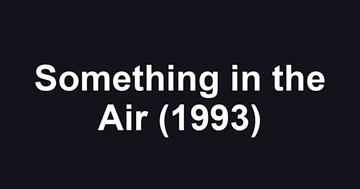 Something in the Air (1993)