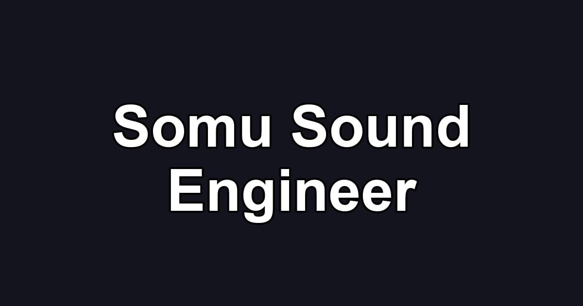 Somu Sound Engineer