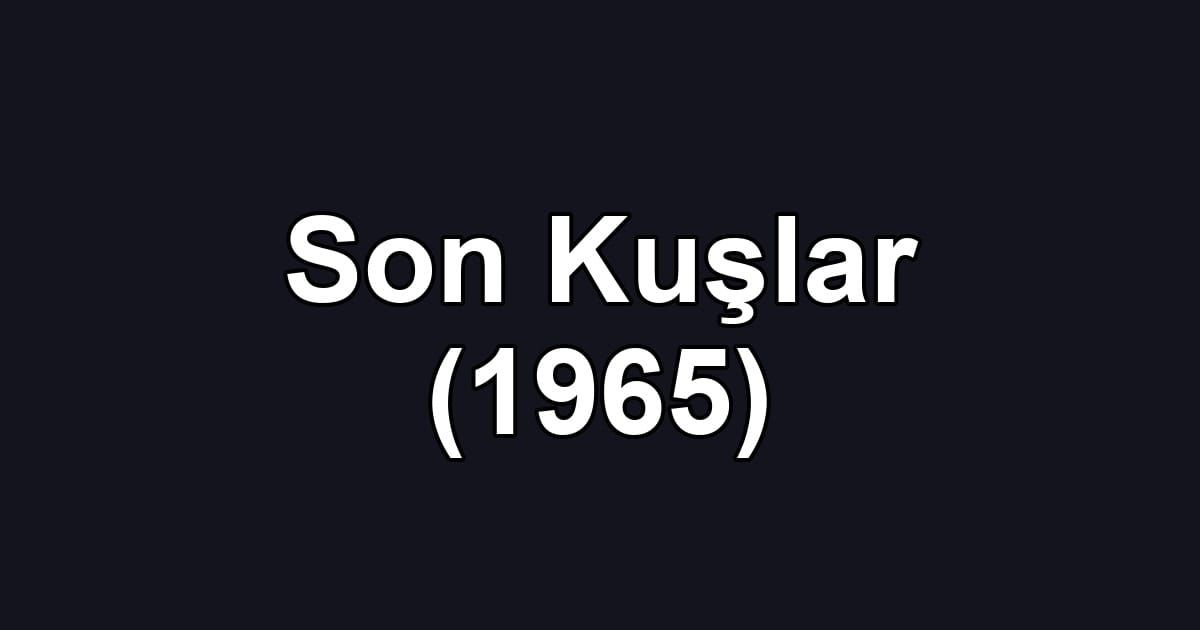 Son Kuşlar (1965)