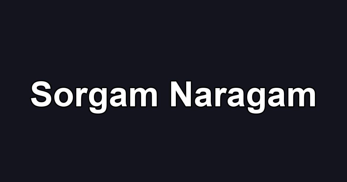 Sorgam Naragam