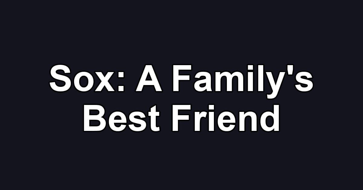 Sox: A Family's Best Friend