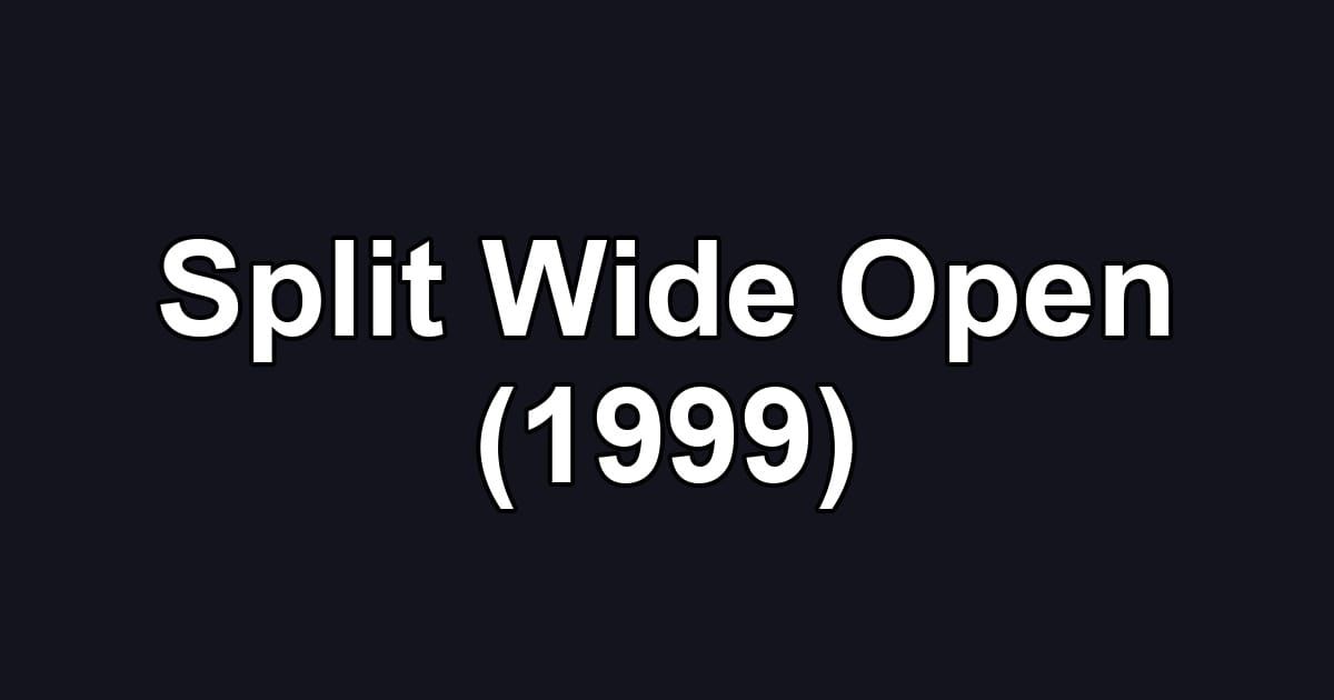 Split Wide Open (1999)